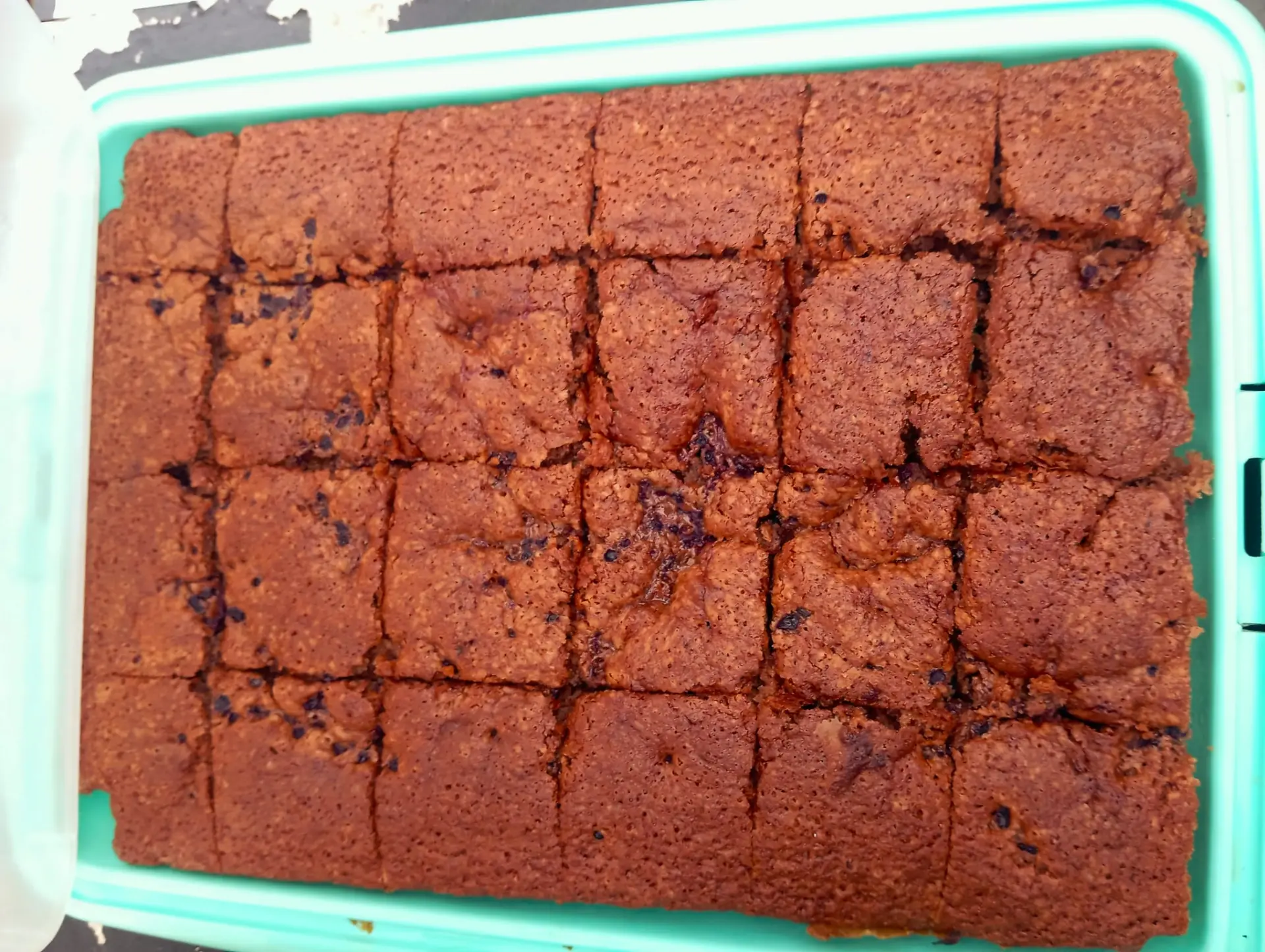 Selbst gebackener Kuchen in Stücken in einer Transportbox